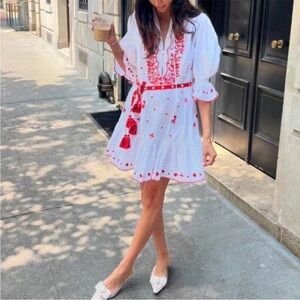 alemais hearts embroidered mini dress Alémais Dusty Embroidered MINI Dress 16 AU/UK (12 US) main image 0